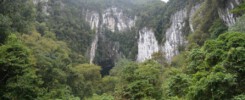 Explore Gunung Mulu National Park Bat Observatory