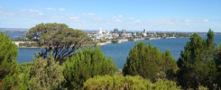 The Best Day Trips from Perth Kings Park & Botanic Garden