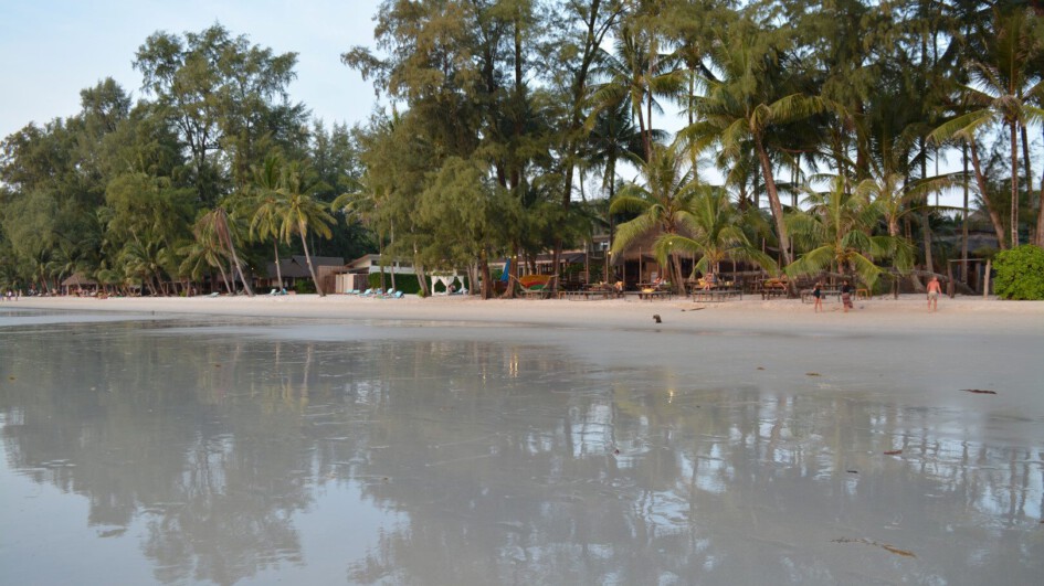 The Old Trees of Koh Kood Header Beach