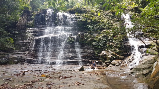 The Perfect Itinerary For Borneo Kubah National Park Kuching